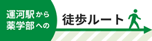 運河駅から薬学部への徒歩ルート